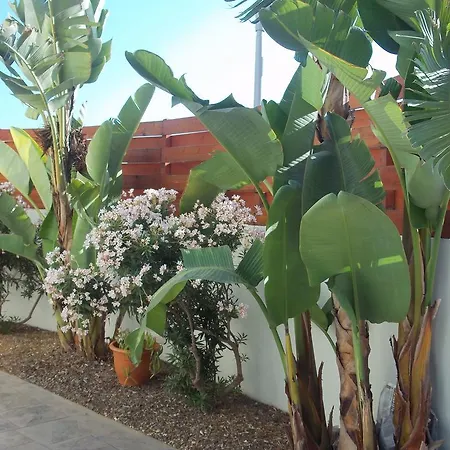 Thalia Villa